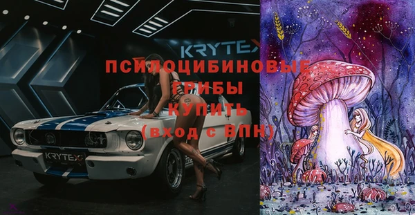 индика Снежногорск