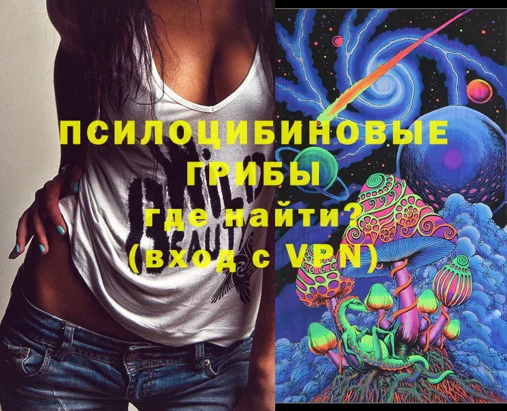 Галлюциногенные грибы Psilocybine cubensis Бронницы